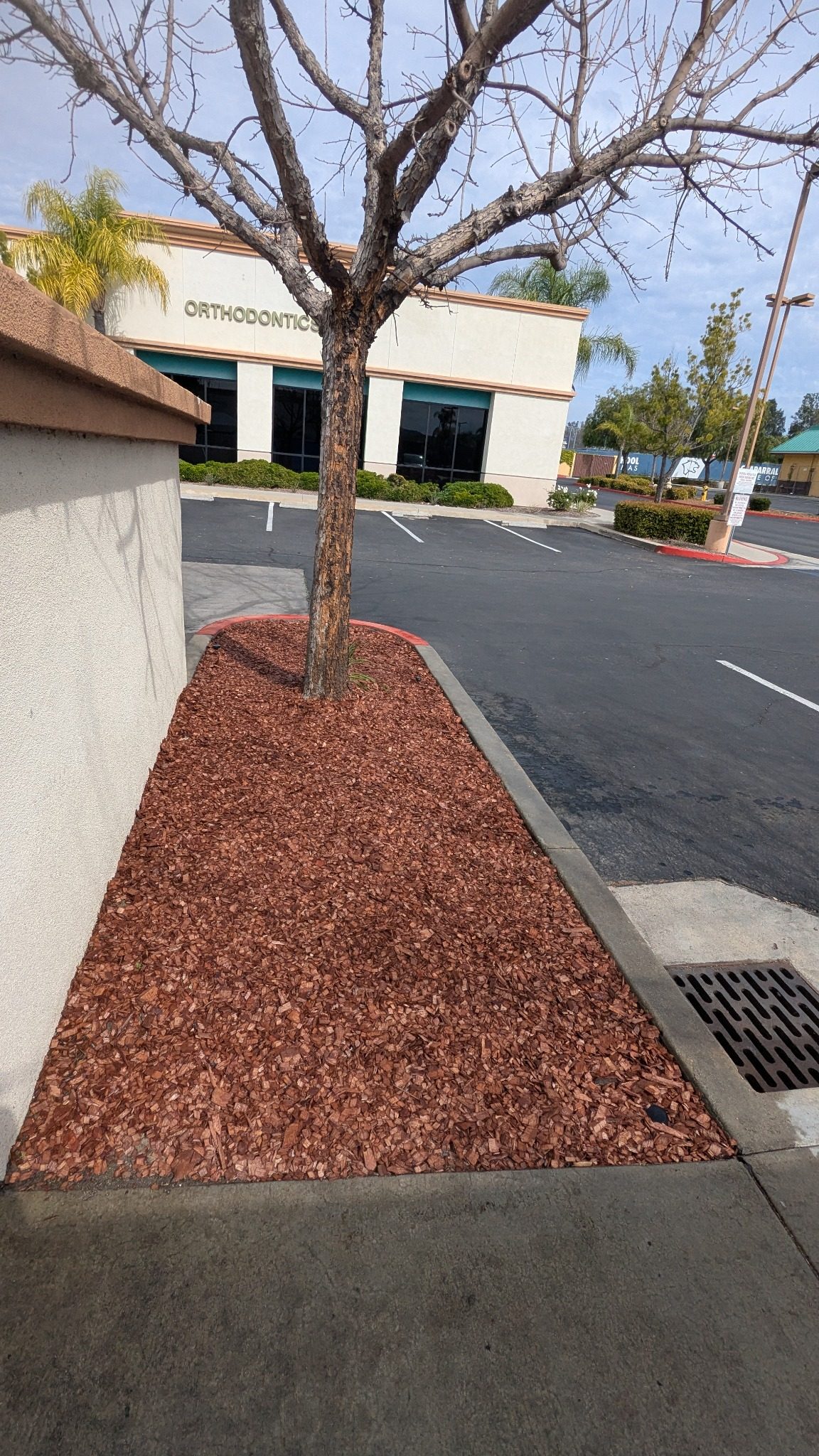 Mulch - Julio's Landscaping Solutions