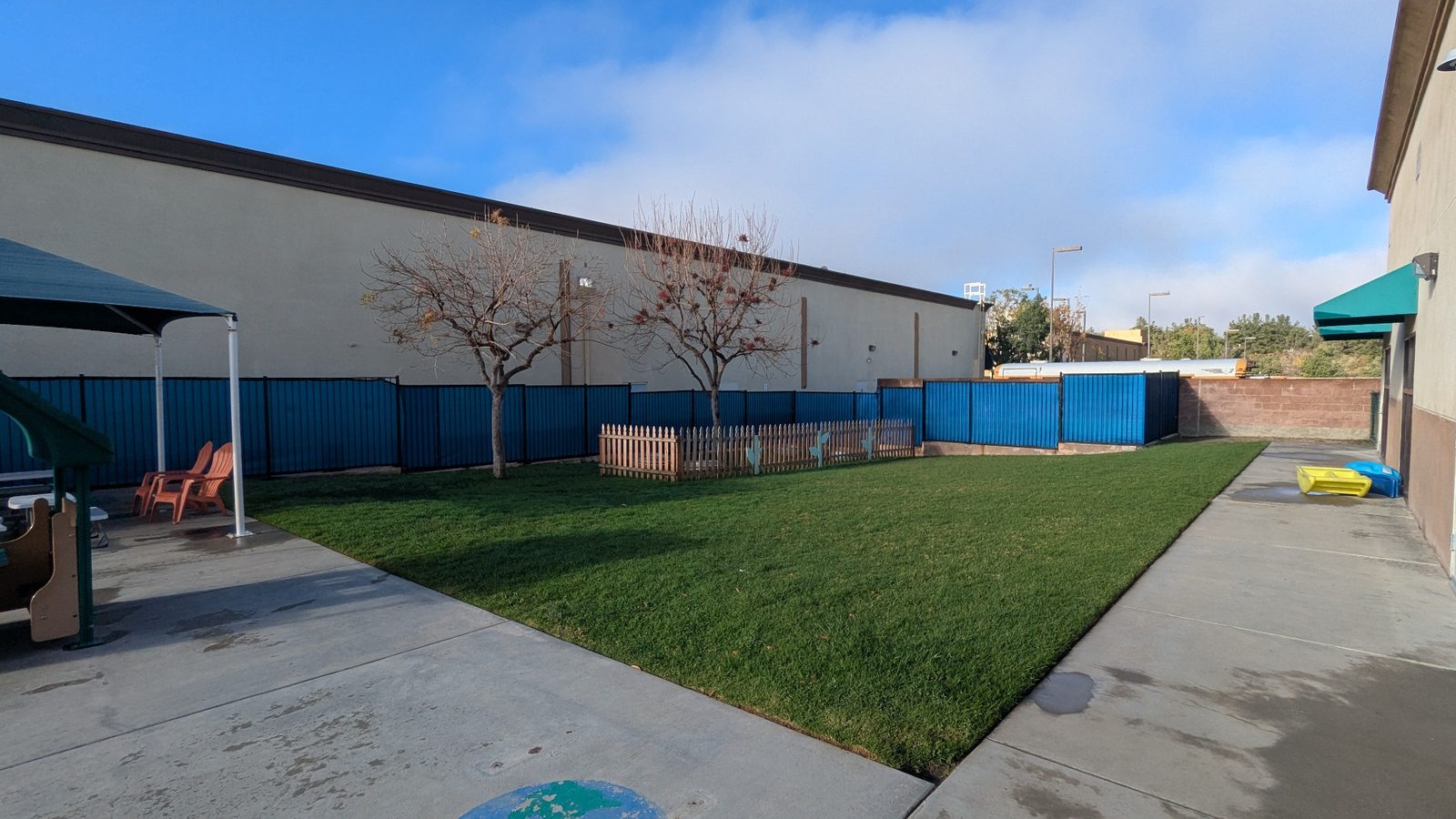 Turf - Julio's Landscaping Solutions