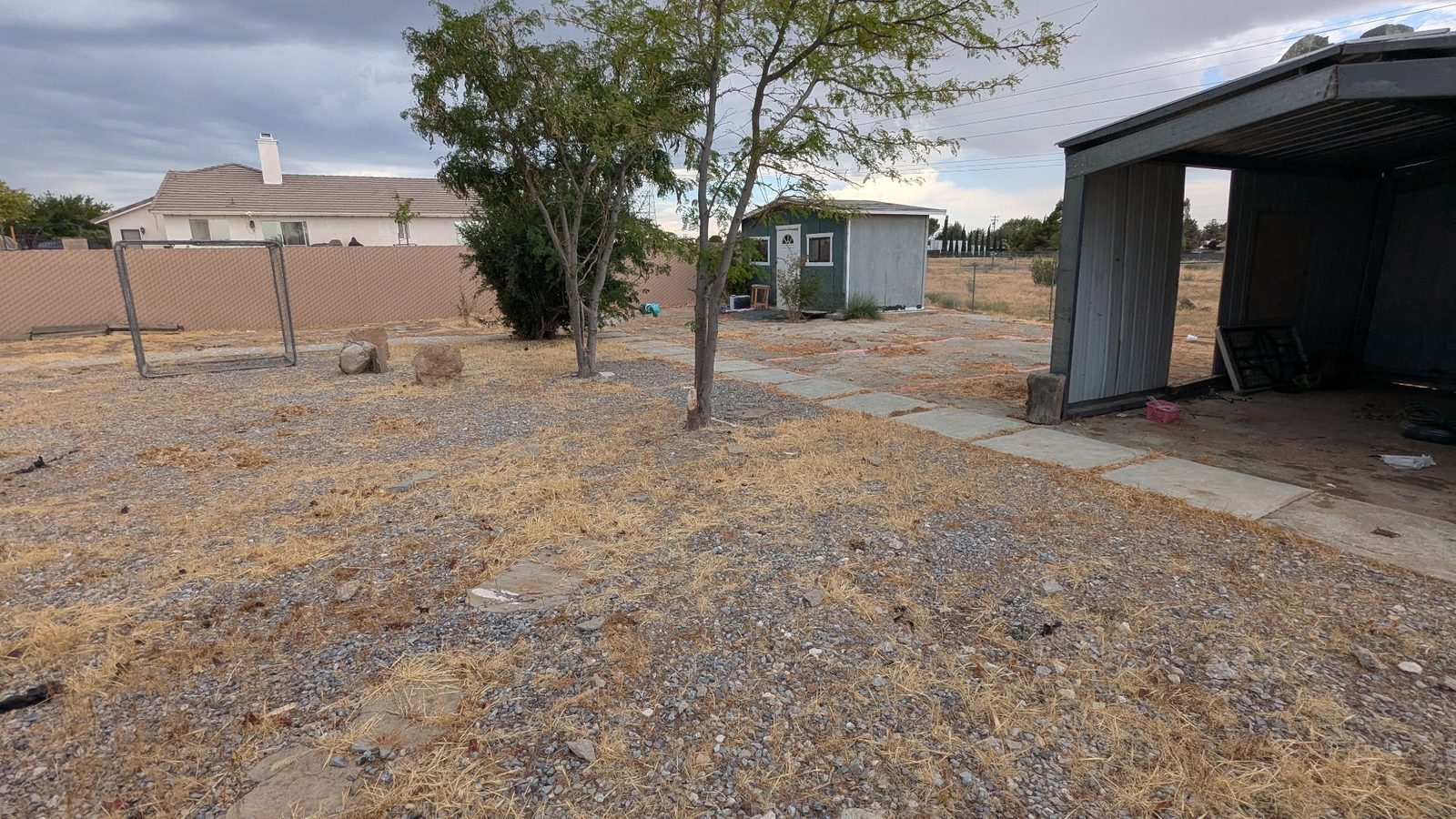 Weed Cleanup (Before) - Julio's Landscaping Solutions